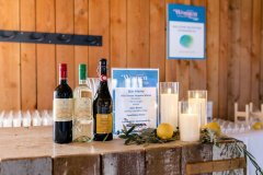 DHF-Power-of-Women-in-Philanthropy-2